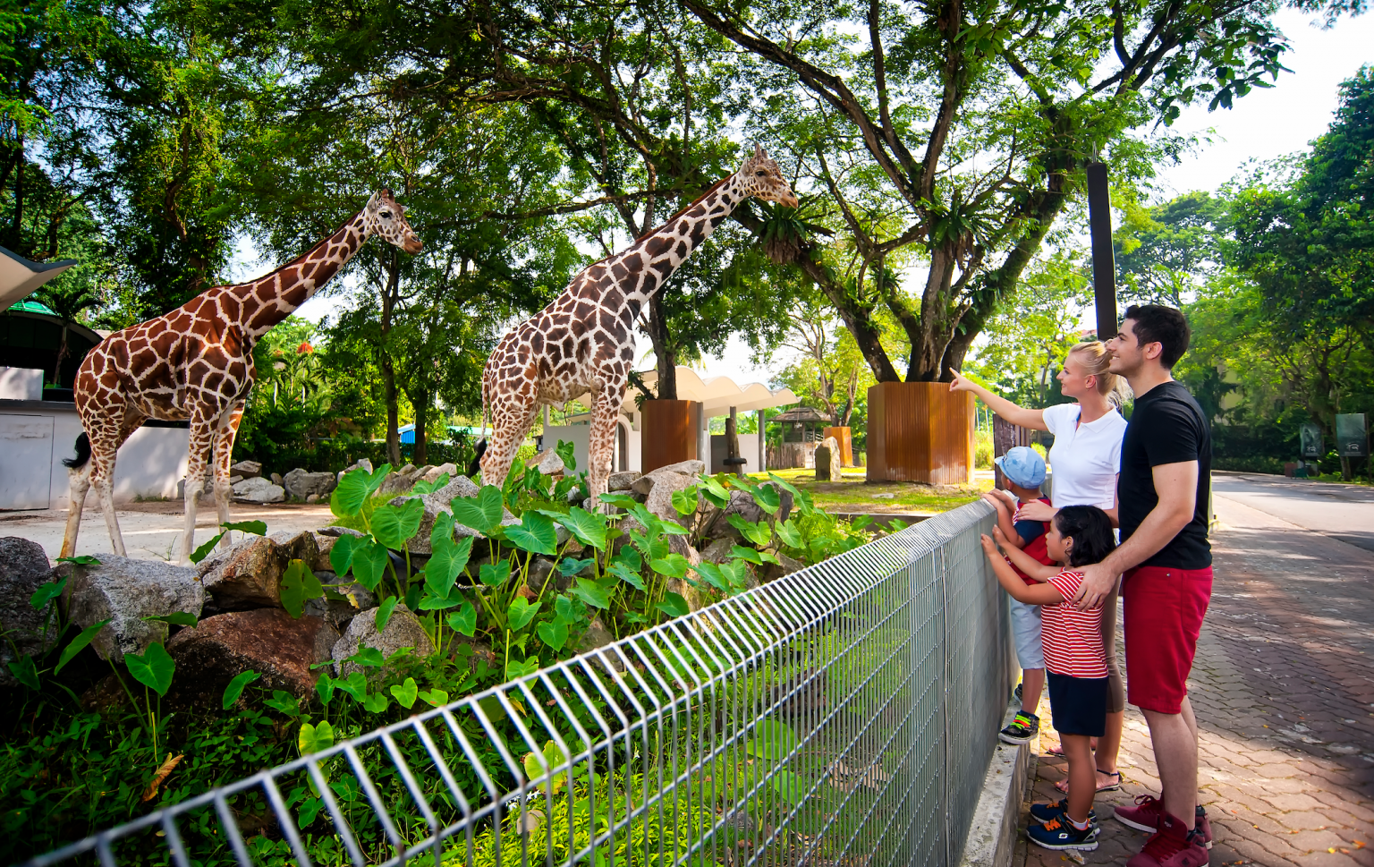 Зоопарка скачает телефон. Зоопарк Куала-Лумпур, Малайзия. Зоопарк Куала Лумпур. Винперл парк зоопарк. Куала Лумпур зоопарк носороги.