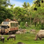 Taman Safari Indonesia Invites Malaysian Families for an Unforgettable Nature Discovery Journey